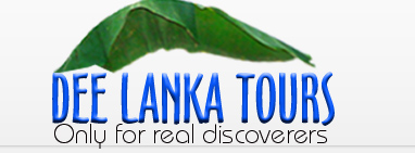 Sri Lanka Authorised Tourist Driver, Sri Lanka Tourist Driver